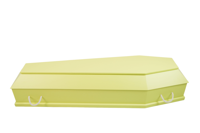 S3-3 Citron — изображение 4