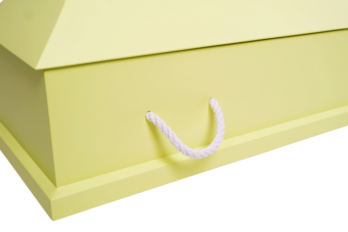 S3-3 Citron — изображение 3