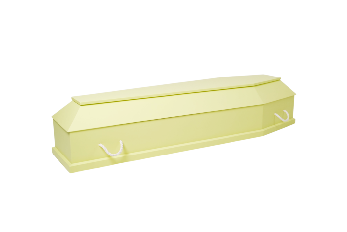 S3-3 Citron — изображение 2