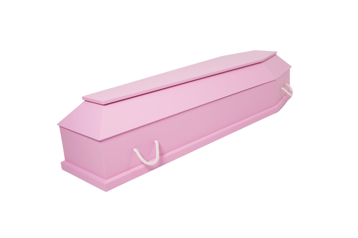 S3-1 Magnolia — изображение 3